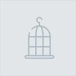 Kép 1/5 - Lorem ipsum dolor sit amet
