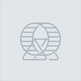 Lorem ipsum dolor sit amet