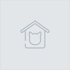 Lorem ipsum dolor sit amet