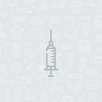 Lorem ipsum dolor sit