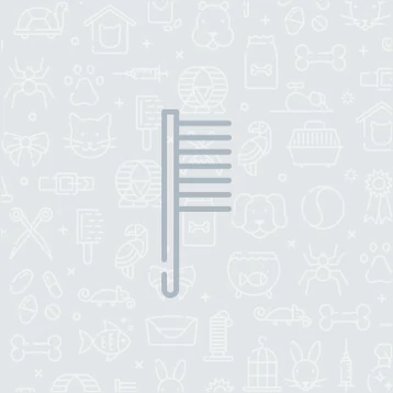 Lorem ipsum dolor sit