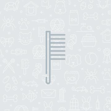 Lorem ipsum dolor sit